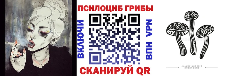 Псилоцибиновые грибы GOLDEN TEACHER  площадка какой сайт  Апатиты 